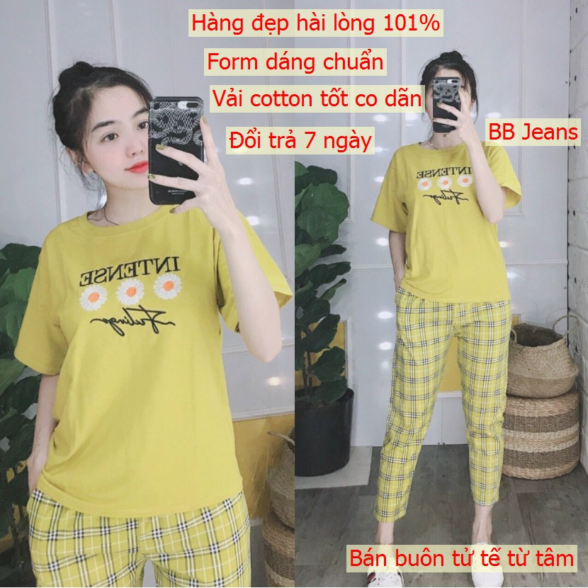 Set đồ bộ nữ đi chơi Intense đồ bộ nữ quần dài đủ màu 40-85kg chất cotton co dãn Panda Store