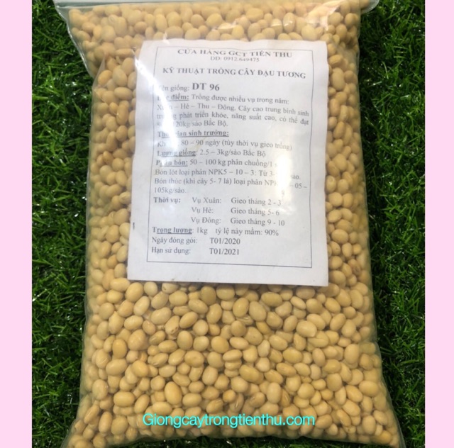 1kg HẠT GIỐNG ĐẬU TƯƠNG DT96