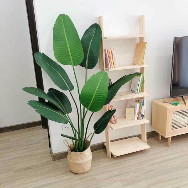 Giỏ cói trồng cây/ đựng đồ phi 20 KT 20cmx20cm