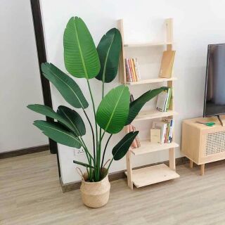 Giỏ cói trồng cây/ đựng đồ phi 20 kt 20cmx20cm
