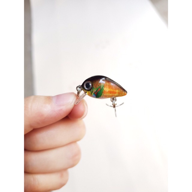 Mồi ruồi 3D - chuyên bắt rô phi,rô ta, chuối, thiểu, ngão,sộp,chim