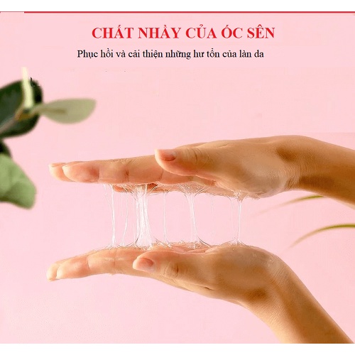 Tinh Chất Ốc Sên Đen Phục Hồi Sẹo Some By Mi Snail Truecica Miracle Repair Serum 50ml