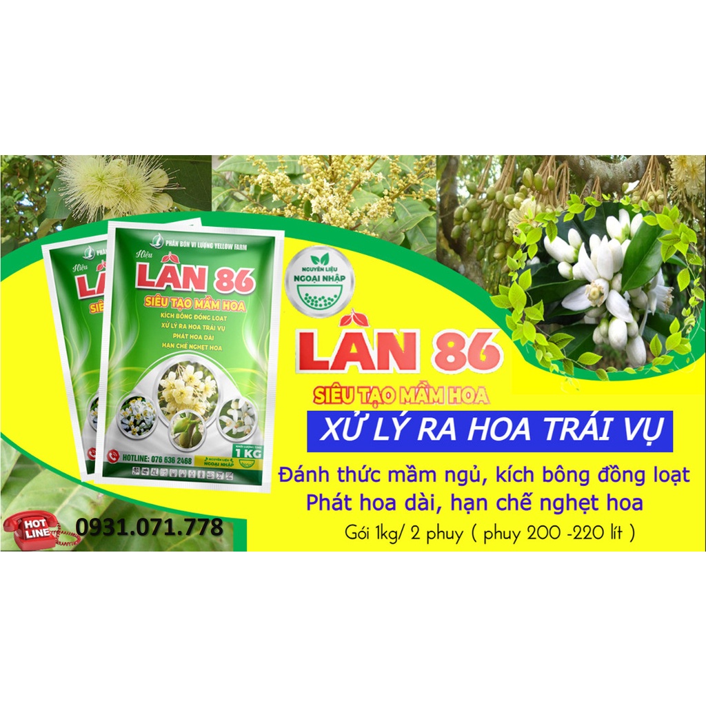 LÂN 86 - TẠO MẦM HOA, KÍCH RA HOA ĐỒNG LOẠT