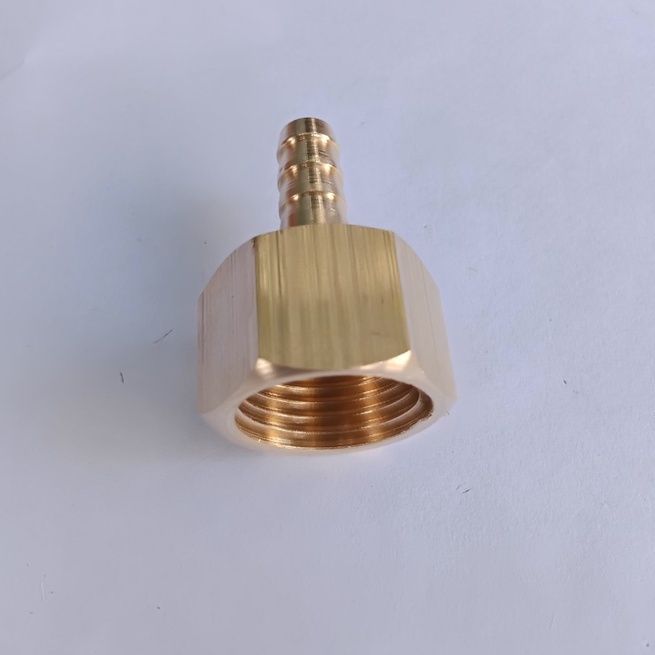 Nối ren trong 21mm đuôi chuột 8mm, 10mm...