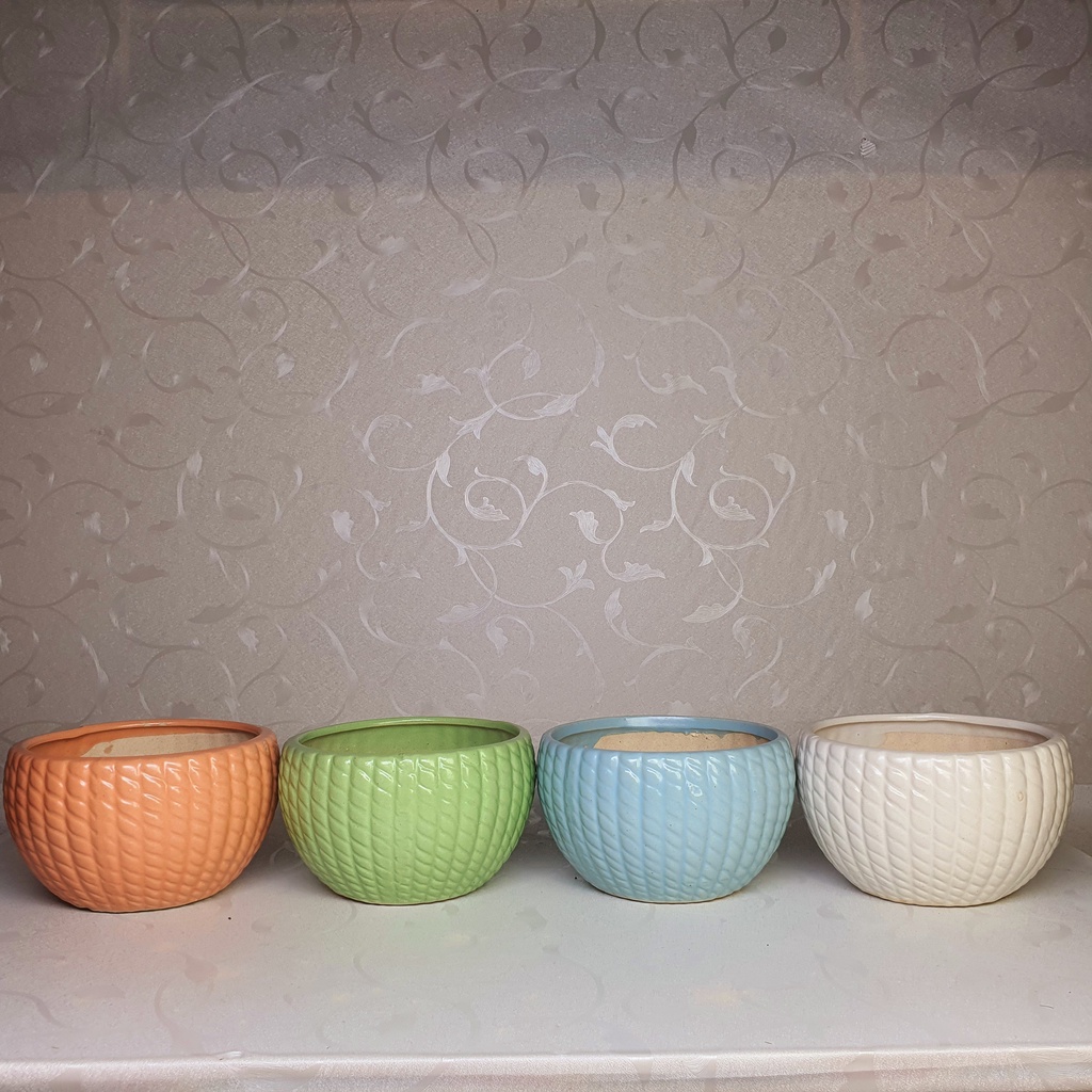 Chậu trồng cây cảnh , sen đá , xương rồng - Kiểu vành tròn -   và