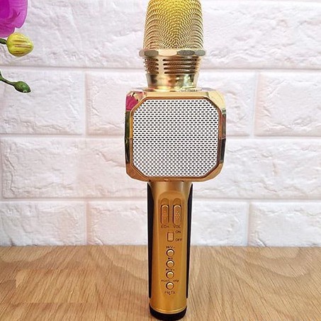 Micro karaoke bluetooth SD10 chính hãng BH 1 đổi 1 [BH 1 đổi 1] | BigBuy360 - bigbuy360.vn