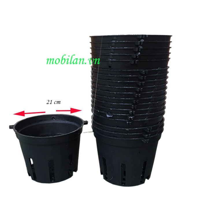 Chậu nhựa trồng lan phi 21(combo 10 chậu)