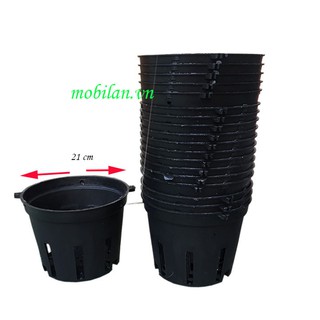 Chậu nhựa trồng lan phi 21(combo 10 chậu)