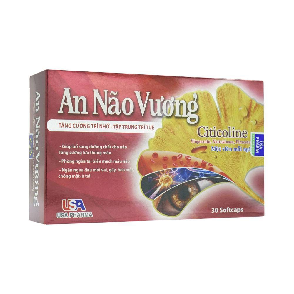 An Não Vương - Hoạt Huyết Dưỡng Não - Tăng Cường Tuần Hoàn Máu Não - Ngăn Ngừa Tai Biến Mạch Máu Não - Hộp 30 Viên