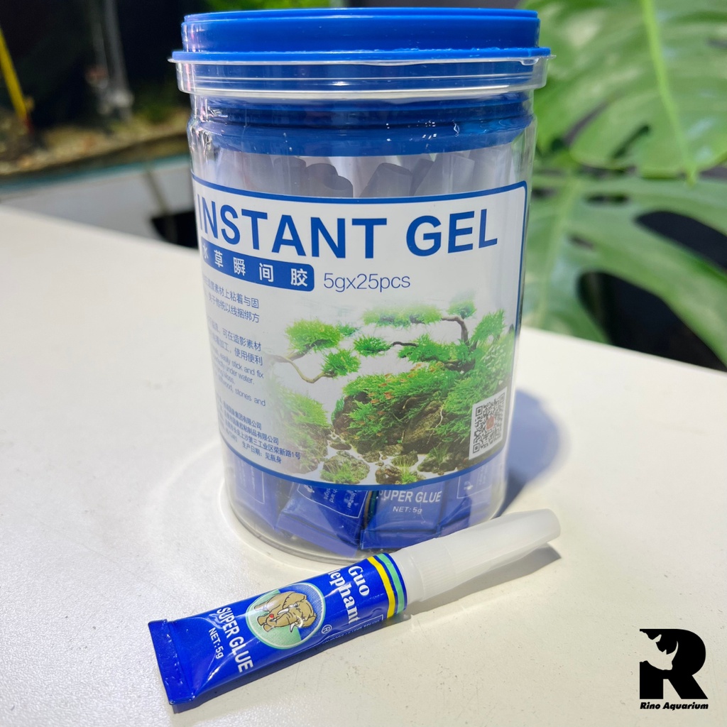 Keo Con Voi Dán Cây Thủy Sinh - Rêu - Ráy - Dương Xỉ - Bucep | Keo Instant Glue (Tuýp 5g) Dán Cây Lên Giá Thể