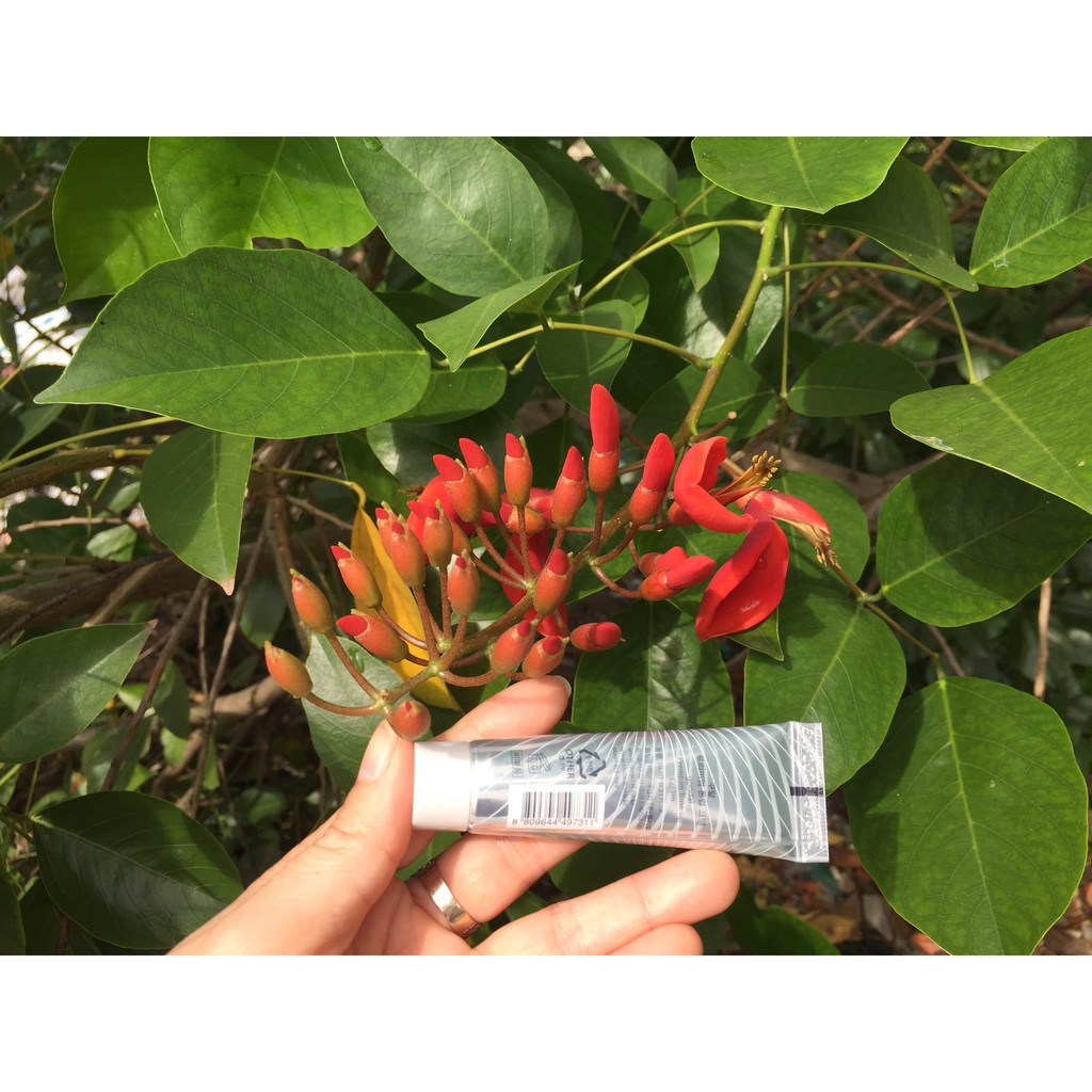 Kem Ốc sên mini Goodal Premium Snail Tone