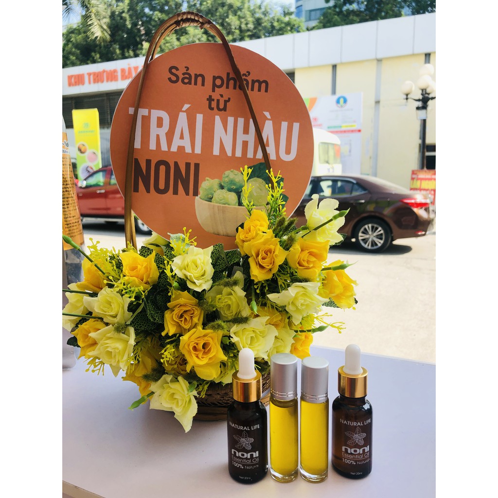 TINH DẦU TRÁI NHÀU - NONI OIL | BigBuy360 - bigbuy360.vn