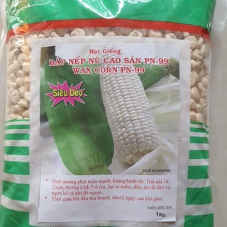 Hạt giống ngô nù sữa
