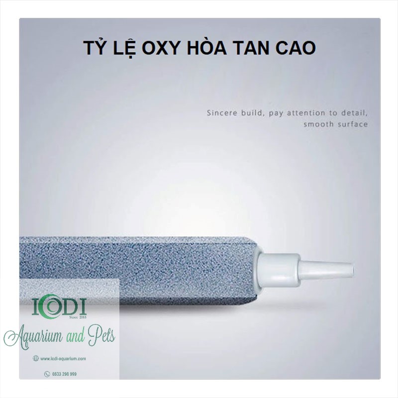 Đĩa sủi oxy cho bể cá cảnh - bể thủy sinh