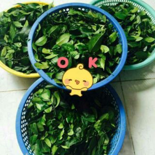Chuyên phân phối sỉ khô gà lá chanh .