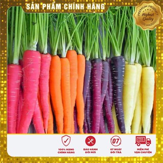 BỘ 05 gói hạt cà rốt nhiều màu TẶNG 02 phân bón