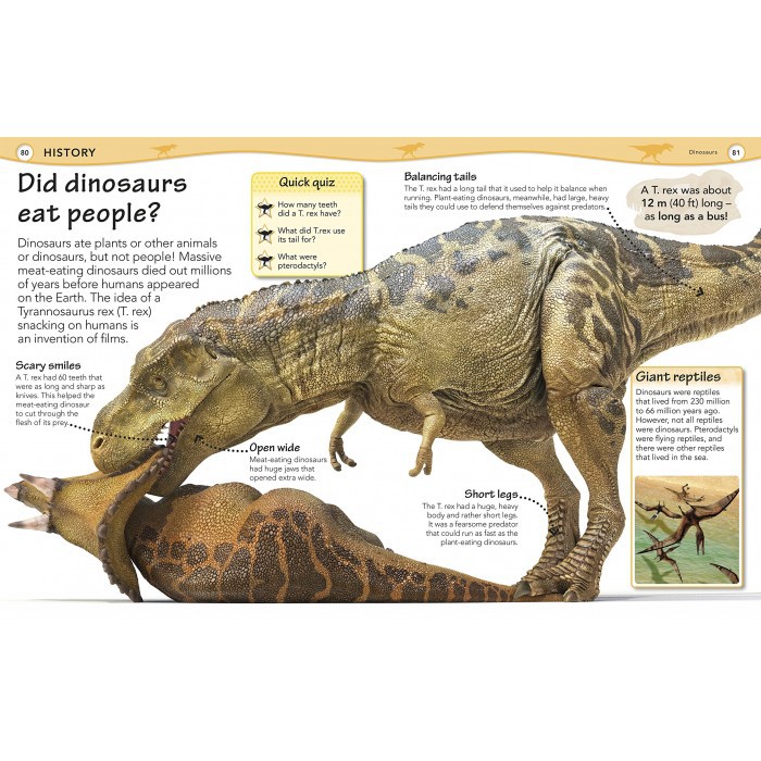 Sách: Why? Encyclopedia - 10 Vạn Câu Hỏi Vì Sao