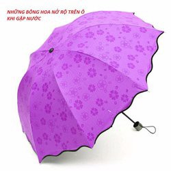 DÙ  GẶP NƯỚC NỞ HOA _ Giá Bán Sỉ Lẻ