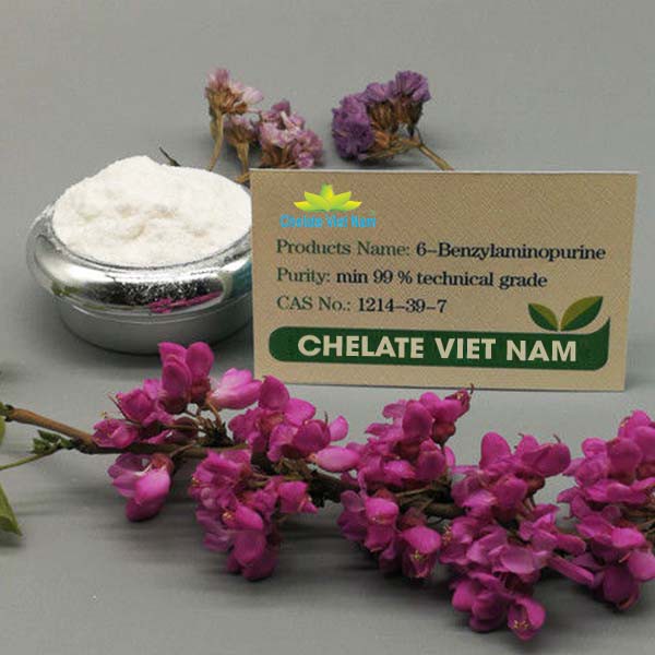 Cytokinin - 6BA 99%  Hormone 6-BAP  tặng kèm dung môi