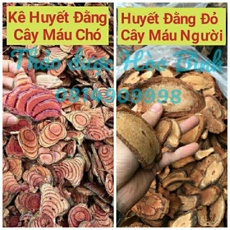 1kg huyết đằng đỏ hay cây cỏ máu cây huyết rồng