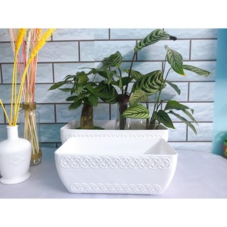 Chậu nhựa chữ nhật trồng cây