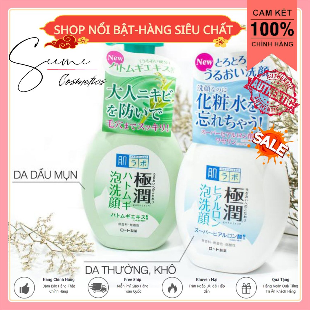 Sữa rửa mặt dạng bọt Hada Labo Gokujyun