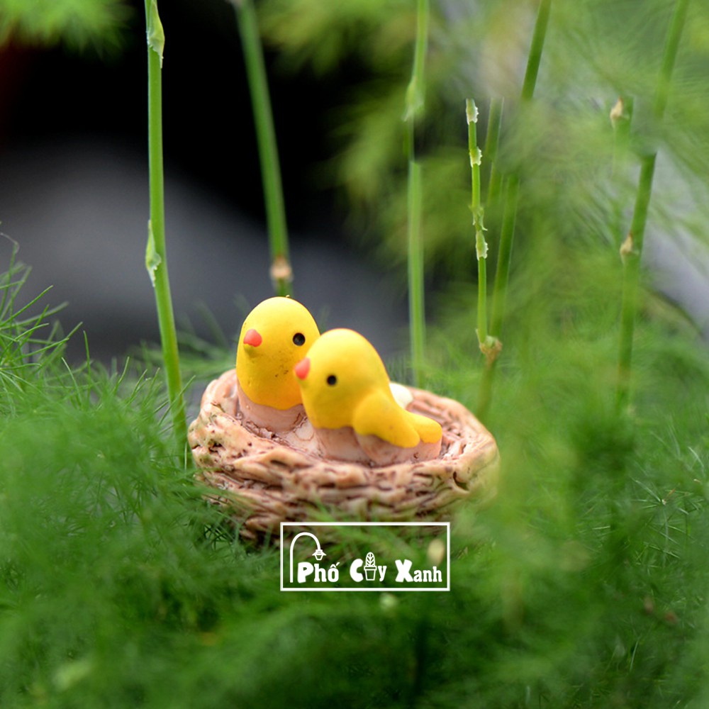 [Giá Siêu Rẻ] Tổ Chim Vàng - Phụ kiện trang trí cho cây xanh để bàn làm việc, mô hình trang trí cho bể cá, tiểu cảnh