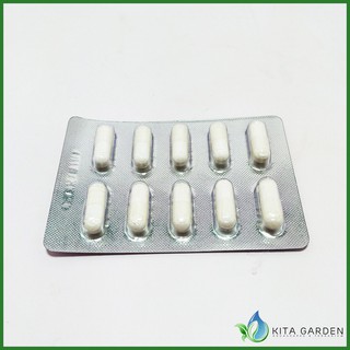 Điều trị cá tép chết lai rai Pranee Aquarium-1 - Vỉ 10 viên