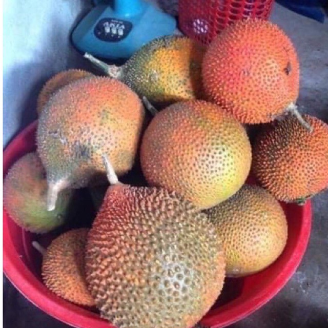 Dầu gấc nguyên chất nhà tự làm