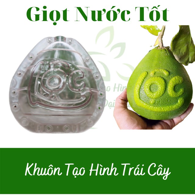 (Chữ Tài Lộc)(Bưởi 1-1,4kg) Khuôn Giọt Nước Cứng dày dặn, hàng loại đẹp - Khuôn Tạo Hình Trái Cây Dùng Nhiều Vụ