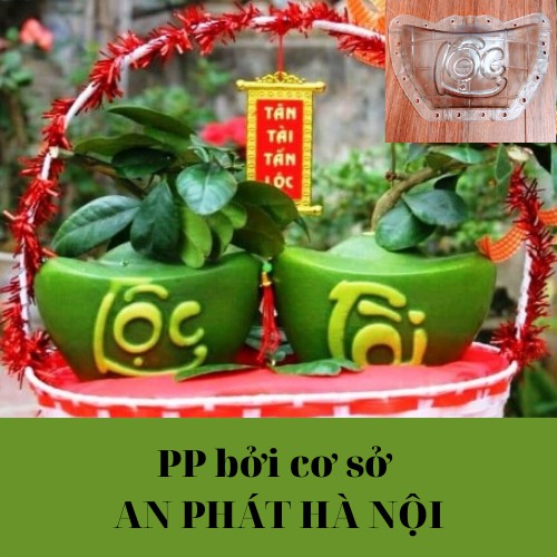 Khuôn Thỏi Vàng - Khuôn tạo hình trái cây Chữ Tài Lộc dùng cho Bưởi, Dưa Hấu, Dưa Vàng, Đào Tiên... lại dày 4-5 li
