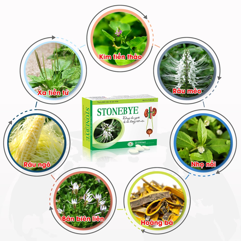 Stonebye – Hỗ trợ điều trị sỏi thận (Hộp 30 viên)