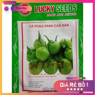Hạt giống cà pháo xanh cao sản -2gr LUCKY.VN