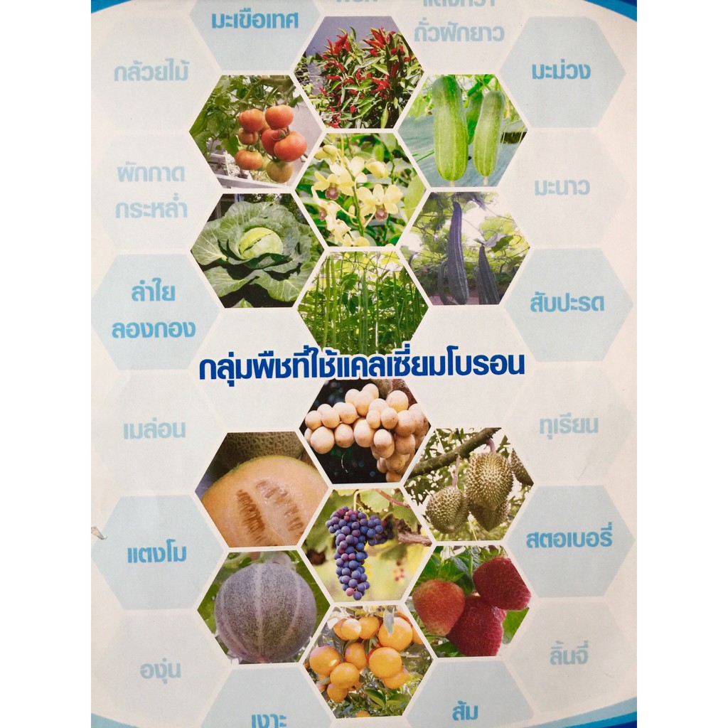 Dưỡng Chất Calcium Boron 1 Thailand 1 lít