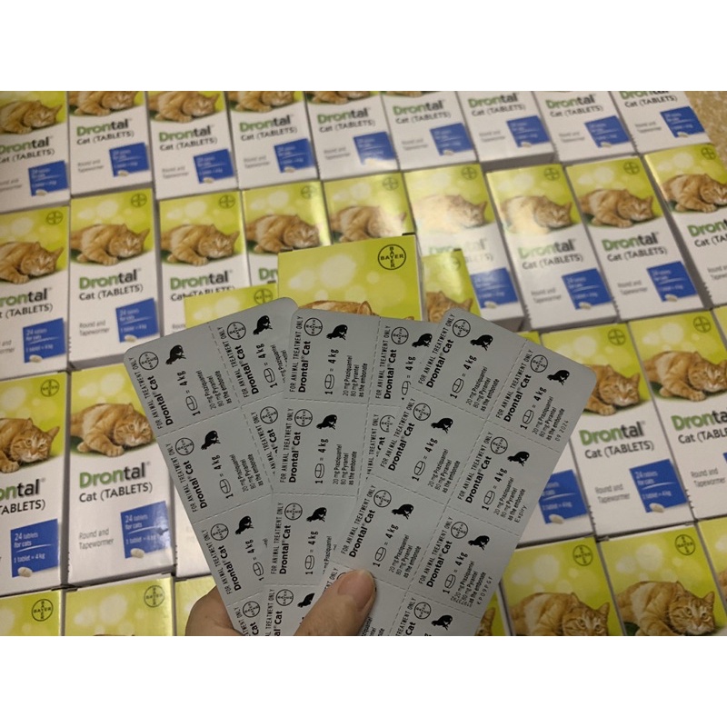 Thực phẩm hỗ trợ đường ruột cho mèo - sổ l ãi