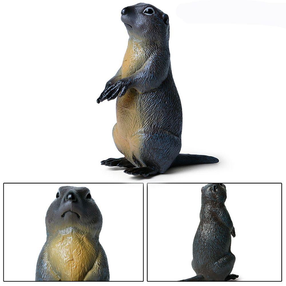 Đồ Chơi Mô Hình Marmot Giả Lập Động Vật Hoang Dã Sinh Động Cho Bé