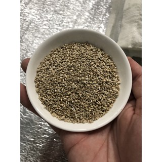 Hạt Giống Cúc bách nhật Mix 100 Hạt/ Gói