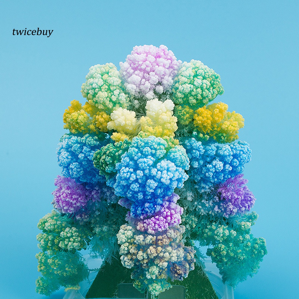 Đồ chơi cây thông giấy nở hoa DIY để bàn trang trí