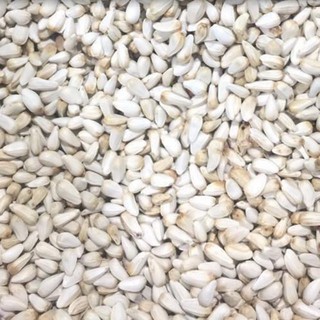 Hạt kham 1kg - thức ăn cho Hamster