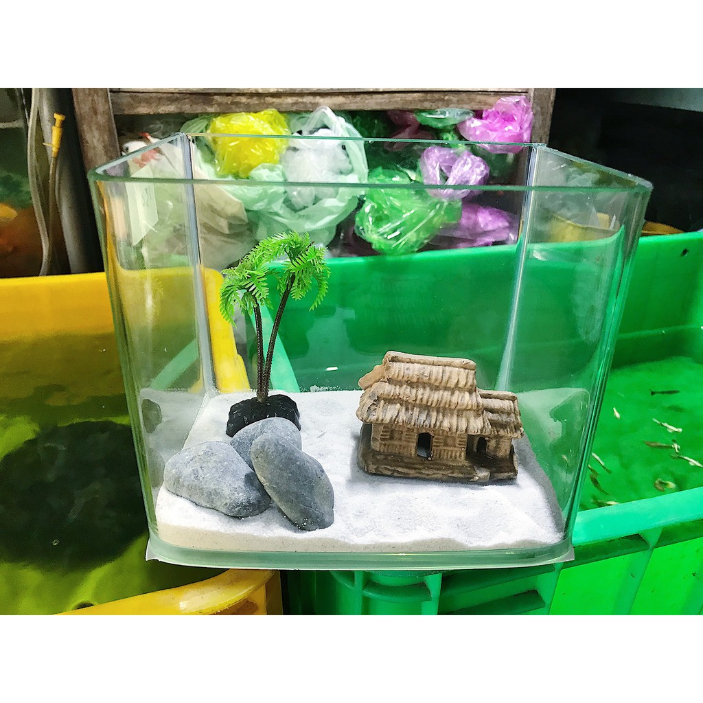 COMBO HỒ CÁ MINI SIZE 18x13x15CM