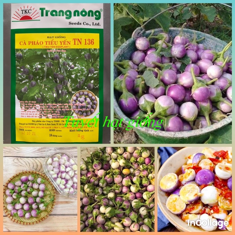 200 hạt giống cà pháo tím tiểu Yến Trang Nông
