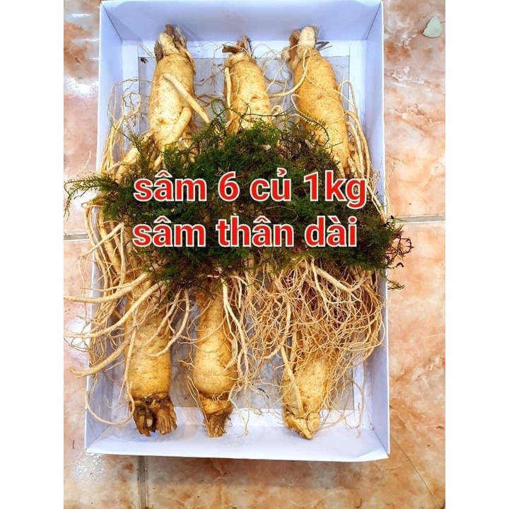 Sâm tươi Hàn siêu to đặc biệt loại củ lớn 6 củ/kg thượng phẩm đại bổ