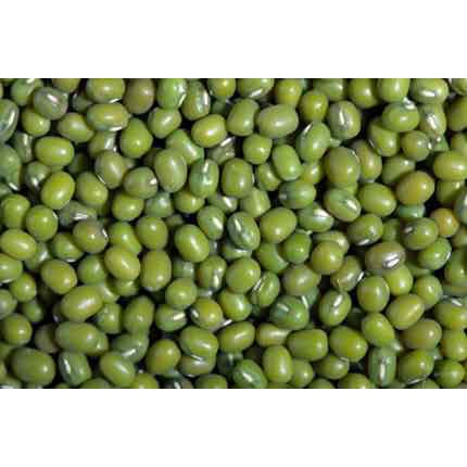 SET 2 CHAI PHÂN BÓN Dung dịch thủy canh rau TRIMIX-DT 500ml, dung dịch trồng rau sạch