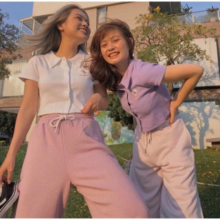 Áo crop cổ bẻ ( kèm ảnh thật )