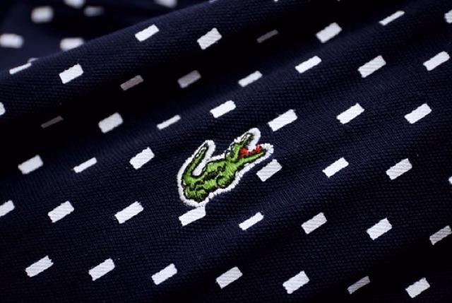 Polo lacoste tshirt chấm bi