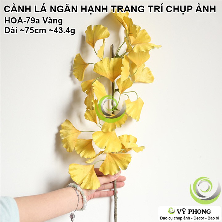 CÀNH LÁ NGÂN HẠNH RẼ QUẠT TRANG TRÍ ĐÁM CƯỚI ĐẠO CỤ CHỤP ẢNH SẢN PHẨM INS HOA-79