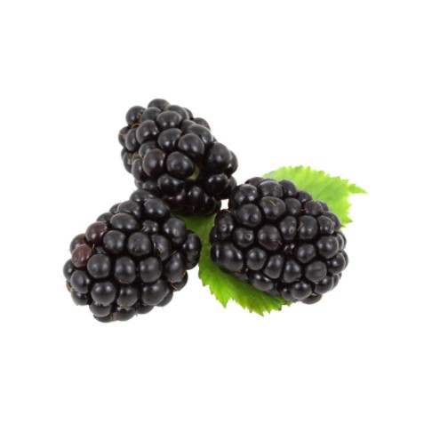 500g Phúc bồn tử khô BLACK CURRANT Atlas(chiết từ gói lớn)