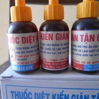 Thuốc diệt kiến gián
