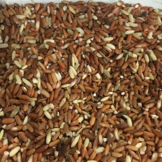 Gạo lứt đỏ dẻo điện biên 1kg