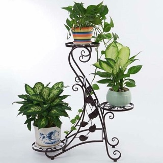 Kệ để chậu hoa chơi tết